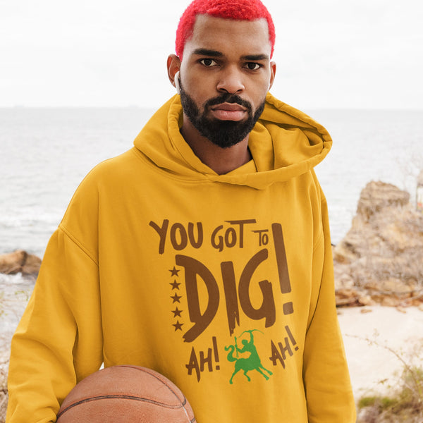 Iota Phi Theta 1963 (Hoodie)