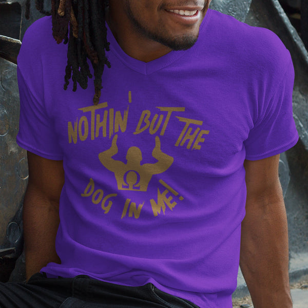 Omega Psi Phi 1911 (Men's V-Neck)
