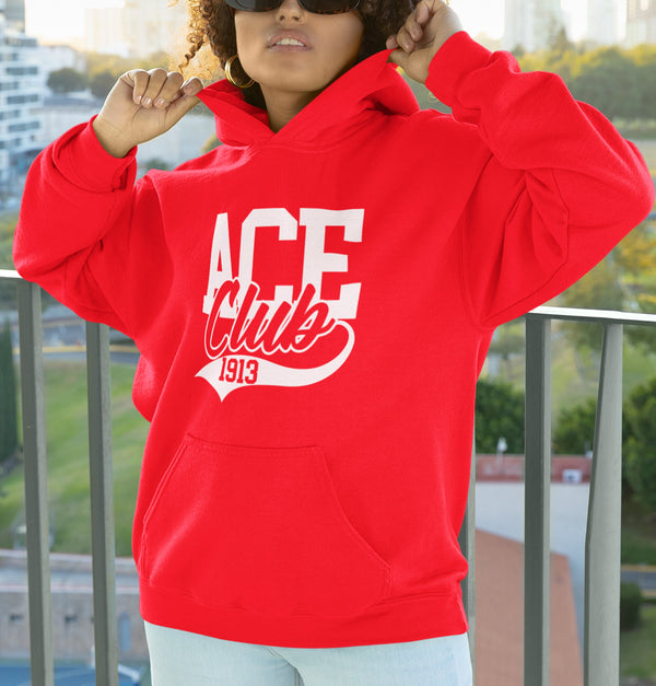 Delta Sigma Theta 1913 -Greek Line Number Club (Hoodie)
