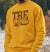 Iota Phi Theta 1963 - Greek Line Number Club (Men's Sweatshirt)