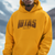 Iota Phi Theta - Iotas Greek Retro Edition (Hoodie)