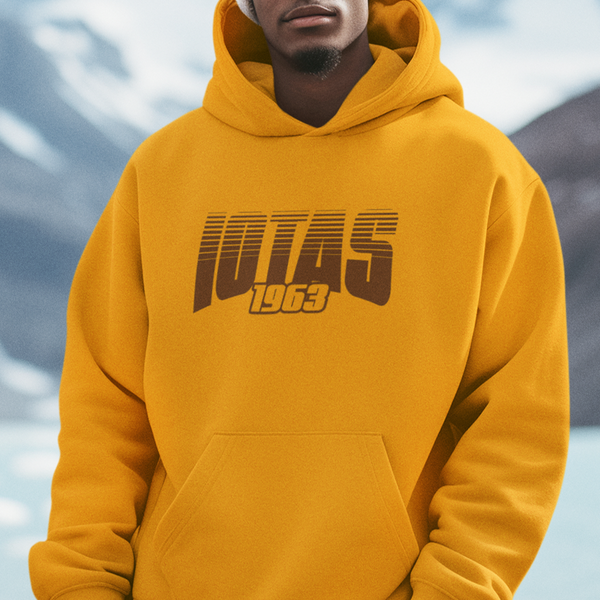 Iota Phi Theta - Iotas Greek Retro Edition (Hoodie)