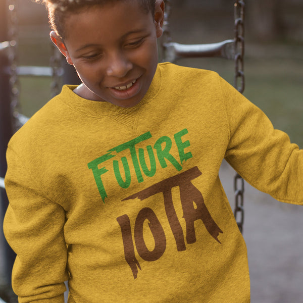 Future Iota - Iota Phi Theta (Youth Sweatshirt/Hoodie)